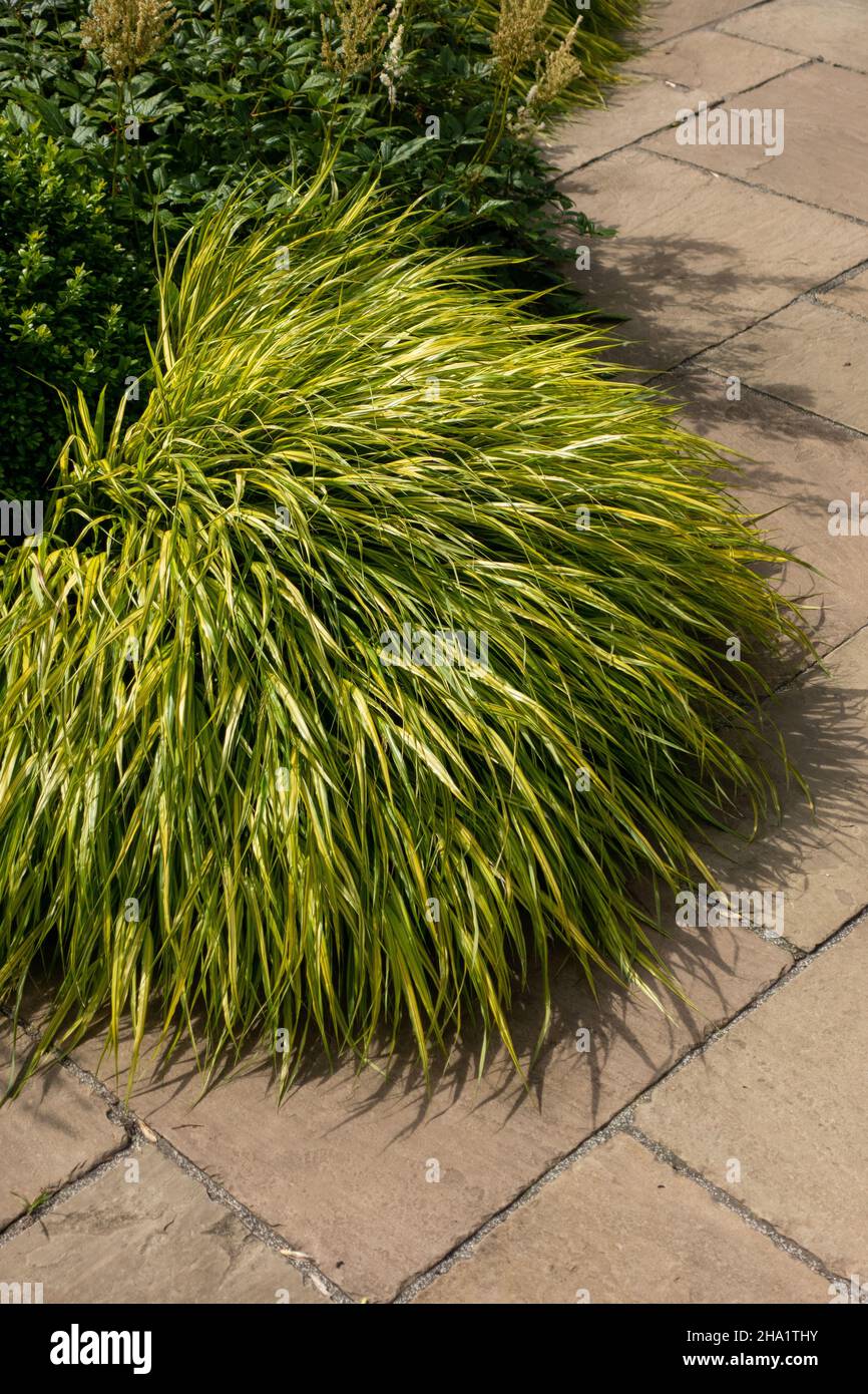 Percorso giardino con erba sintetica in casa privata Foto Stock