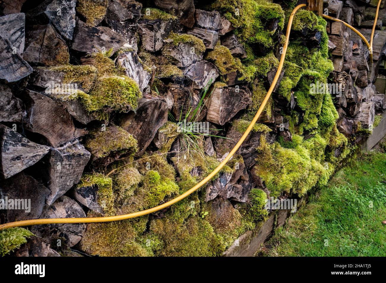 tubo flessibile dell'acqua appeso su una parete di un capannone di tronchi Foto Stock