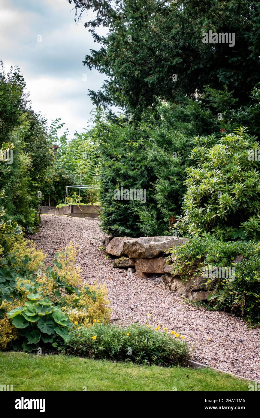 Piante da giardino inglesi in casa percorso giardino Foto Stock