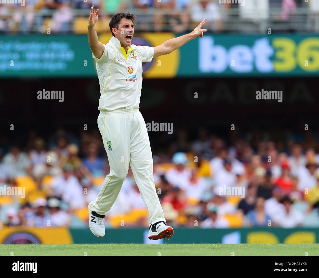 Brisbane, Australia. 10th Dic 2021. Pat Cummins of Australia fa appello a Brisbane, Australia il 12/10/2021. (Foto di Patrick Hoelscher/News Images/Sipa USA) Credit: Sipa USA/Alamy Live News Foto Stock