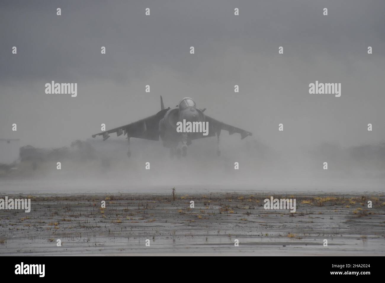 United States Marine Corps AV-8B Harrier II atterraggio nella nebbia (3 del 4) a MCAS Miramar, California. Foto Stock