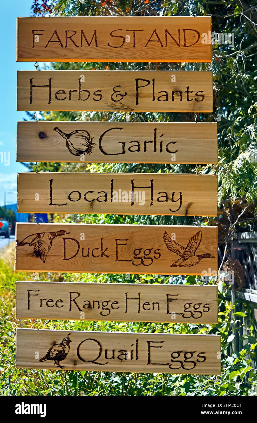 Un segno di legno ad una fattoria rurale che fa pubblicità alle piante e alle uova per la vendita su una strada rurale sull'isola di Vancouver British Columbia Canada Foto Stock