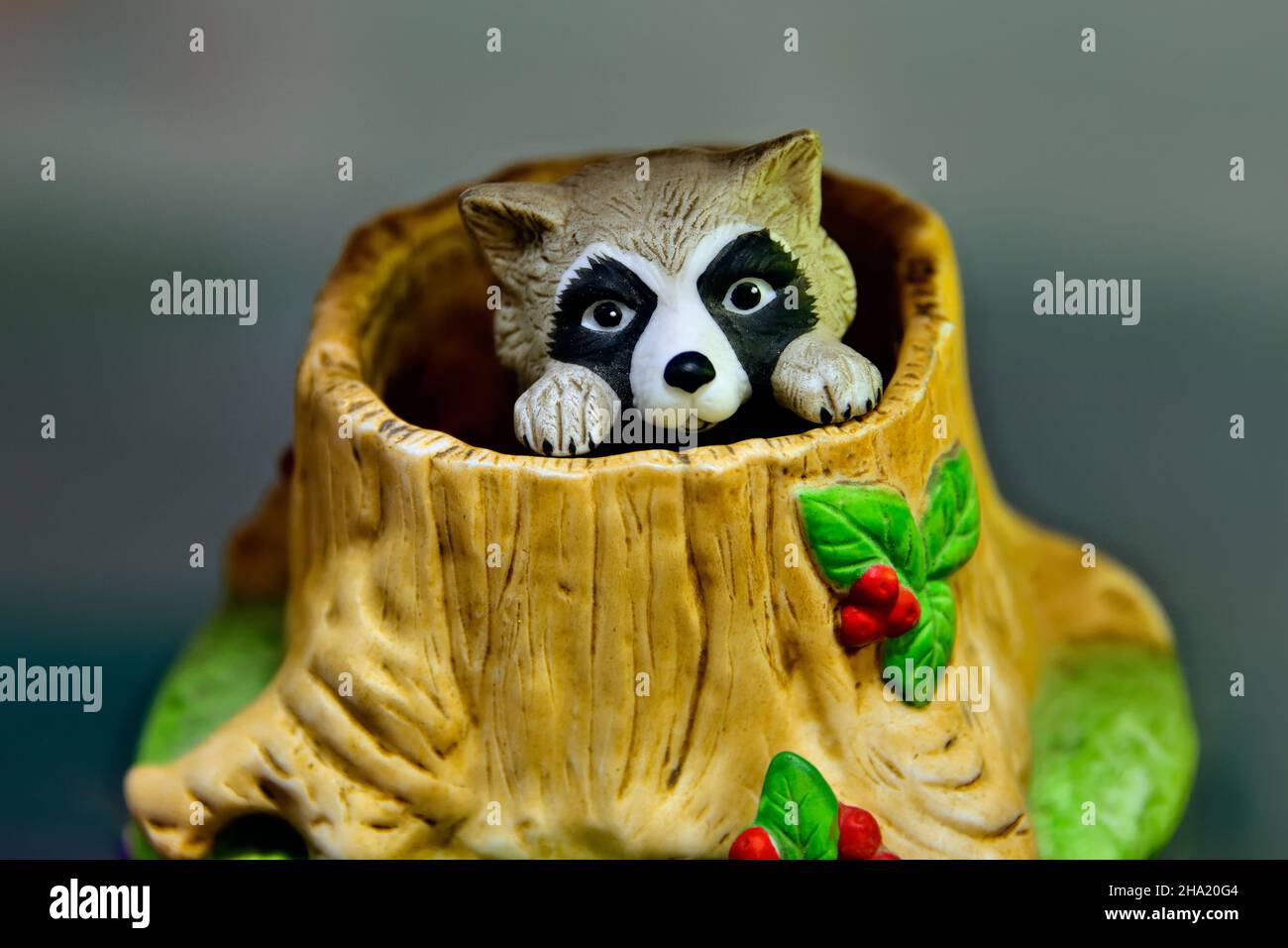Un'immagine orizzontale di un raccoon giocattolo che esce da un ceppo di albero Foto Stock
