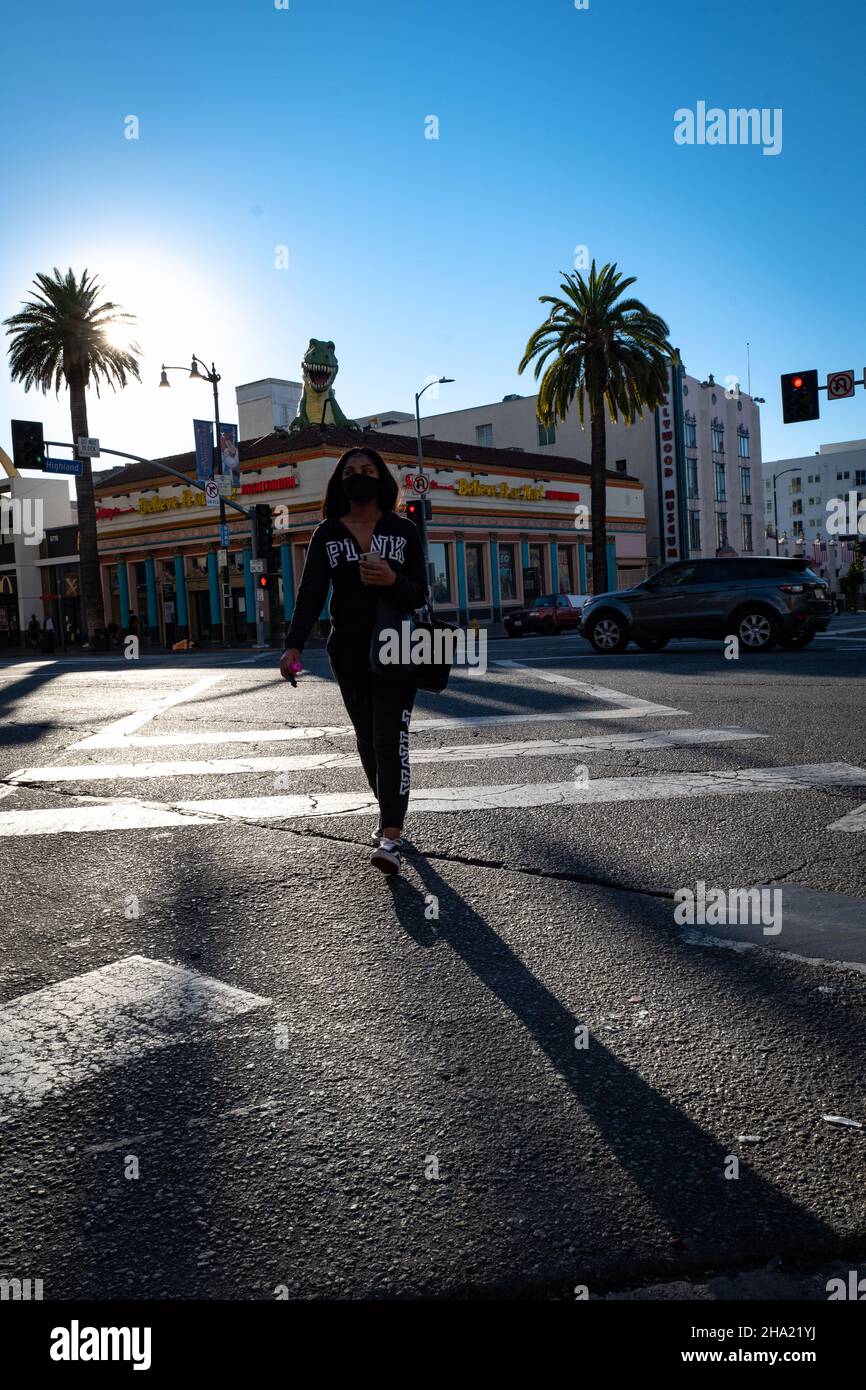 Incrocio di Hollywood Blvd Foto Stock