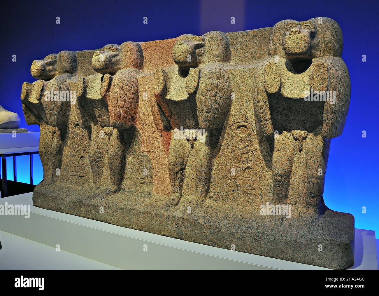 Mostra di animali e faraoni al museo Caixaforum di Barcellona, Catalogna, Spagna Foto Stock