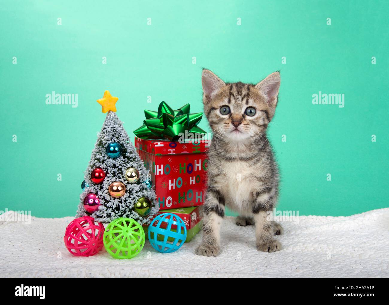 Adorabile gattino grigio e tan striped in piedi su coperta di pelle di pecora con piccolo albero di Natale circondato da palline giocattolo kitty giocattolo e pre decorativo Foto Stock