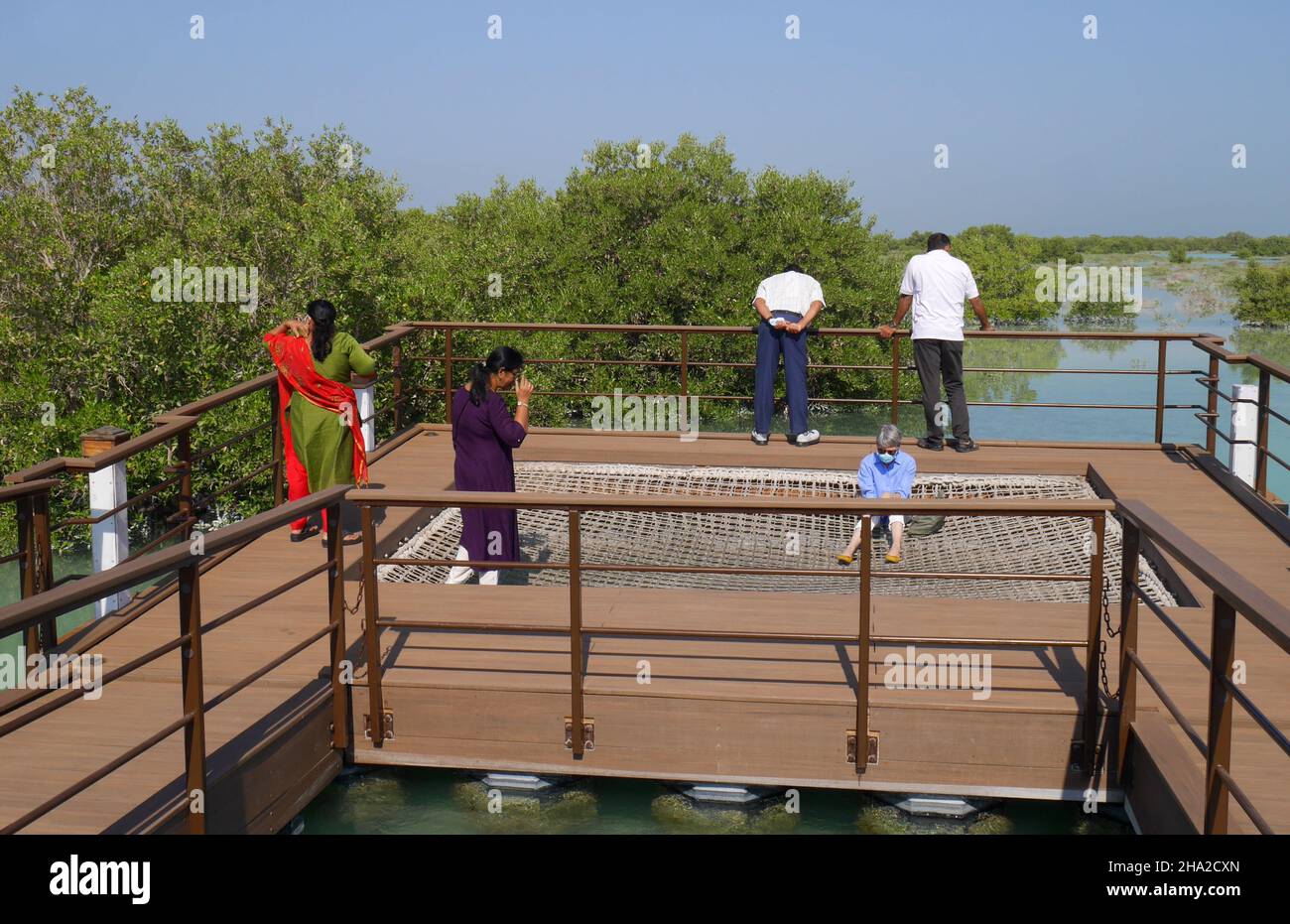 I turisti si fermano su una piattaforma galleggiante al Jubail Mangrove Park, con mangrovie grigie, avicennia marina, Jubail Island, Abu Dhabi, Emirati Arabi Uniti Foto Stock