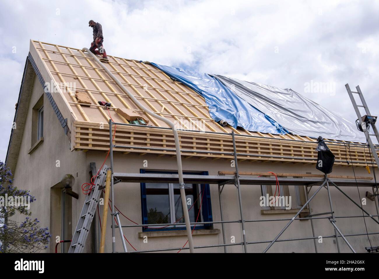 Isolamento di case e tetti, sistema di isolamento di pareti esterne. Roofer specializzato in lana di legno sciolto STEICO Zell, un anti-a ecologico, traspirante Foto Stock