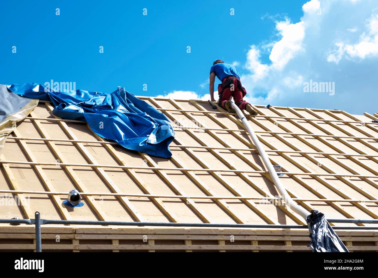 Isolamento di case e tetti, sistema di isolamento di pareti esterne. Roofer specializzato in lana di legno sciolto STEICO Zell, un anti-a ecologico, traspirante Foto Stock