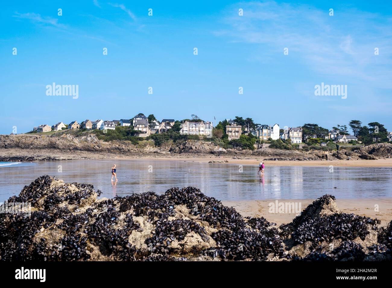 Saint-Lunaire (Bretagna, Francia nord-occidentale): spiaggia "plage de Longchamp" con ville lungo il lungomare Foto Stock