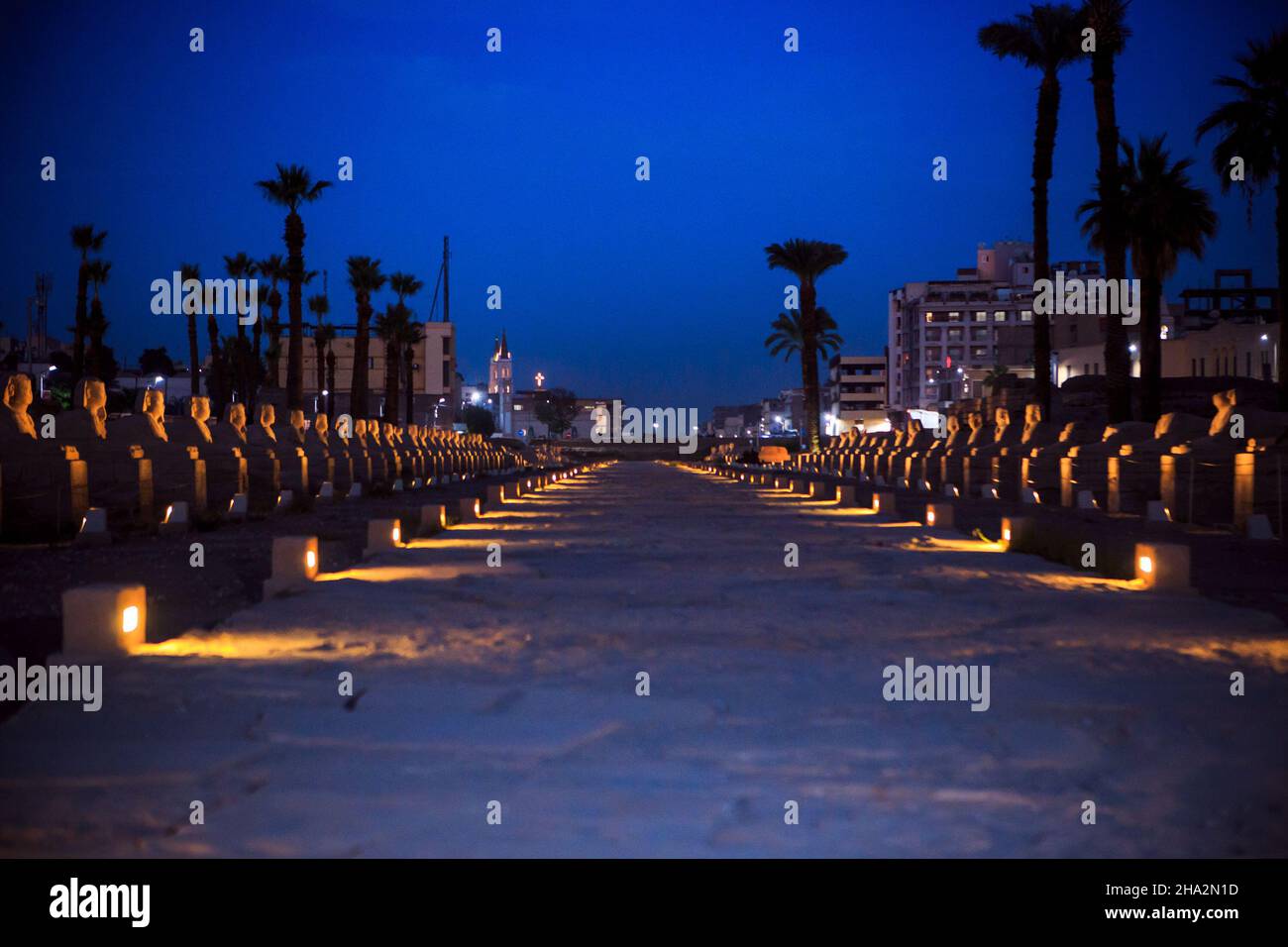 Vista notturna del vicolo di Sphinx, Luxor, Egitto Foto Stock
