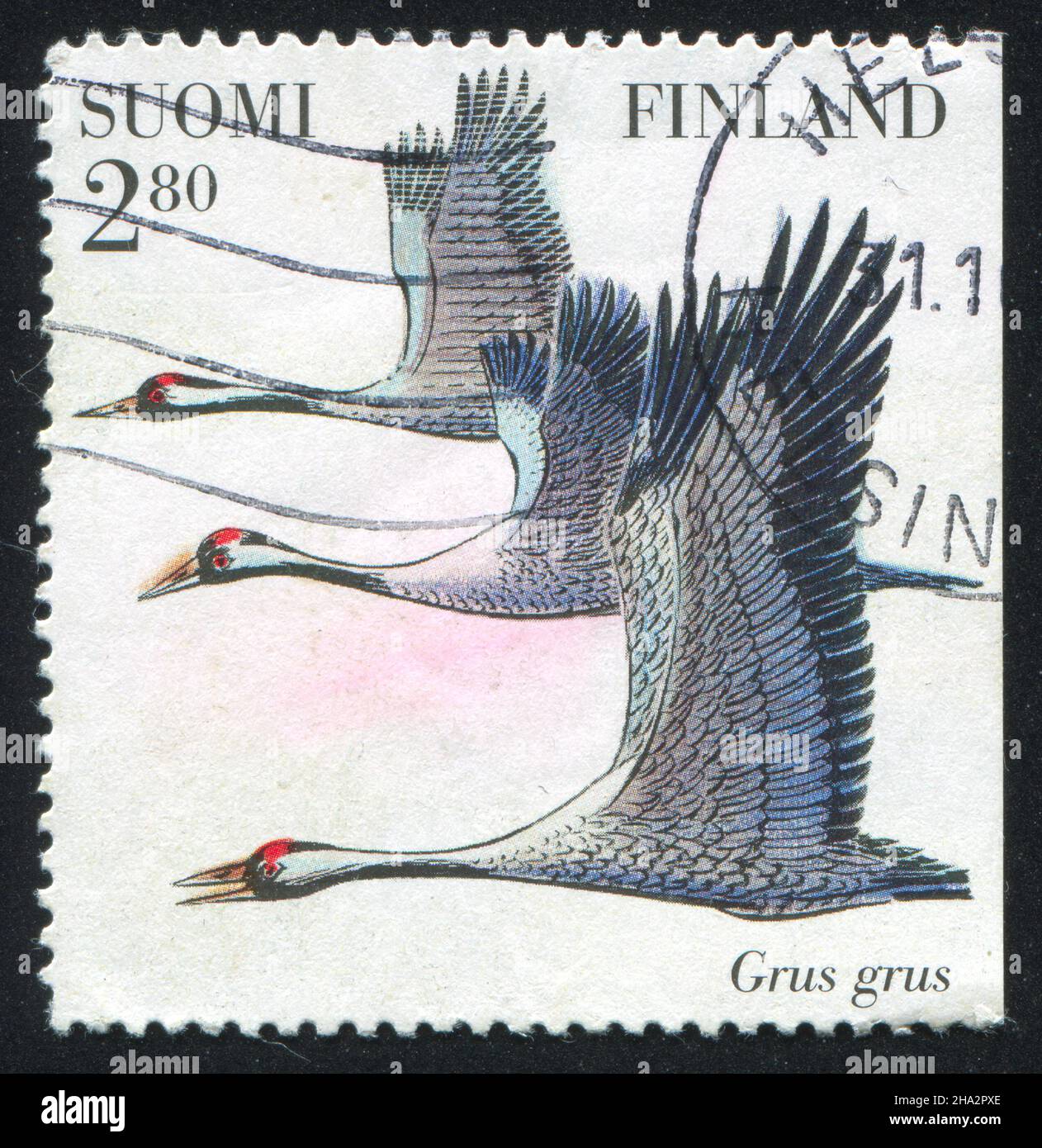 FINLANDIA - CIRCA 1997: Timbro stampato dalla Finlandia, mostra Grus Grus (Cranes), in volo, circa 1997 Foto Stock