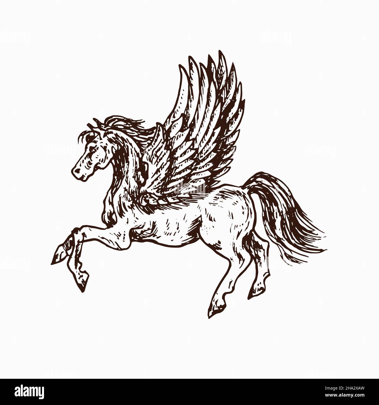 Pegasus, disegno a mano del doodle, illustrazione di disegno dell'inchiostro Foto Stock