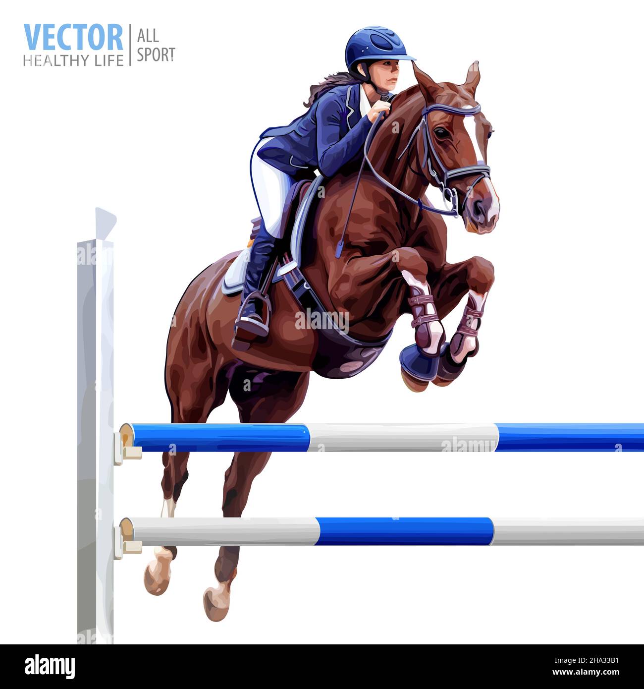 Jockey a cavallo. Cavallo nero. Campione. Equitazione. Sport equestre. Jockey cavallo salto cavallo. Poster. Sfondo sportivo. Vettore isolato Illustrazione Vettoriale