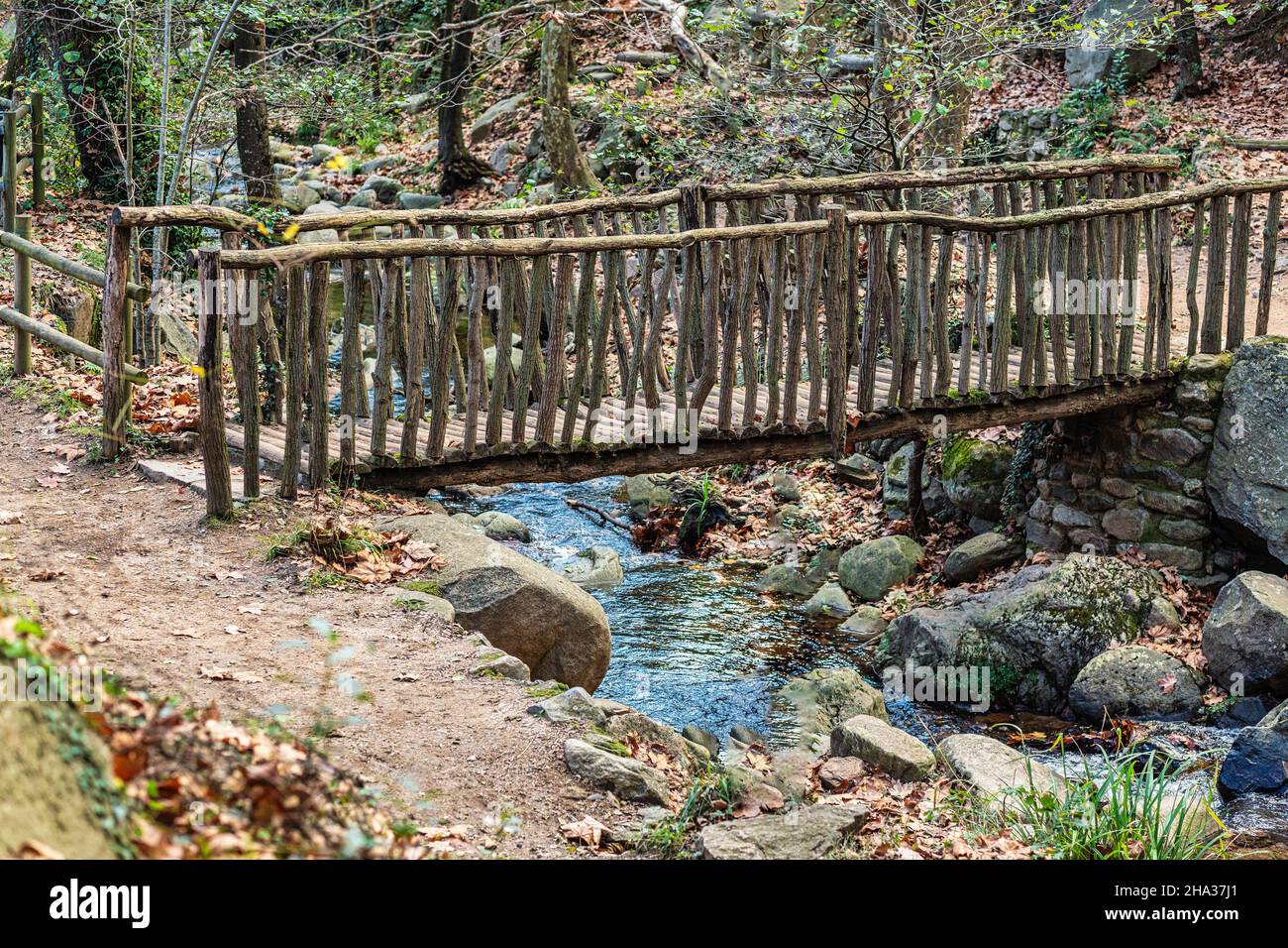 Vecchio ponte di legno su un fiume nella foresta - Gualba Parco ambientale (Parco Naturale Montseny) Spagna Foto Stock