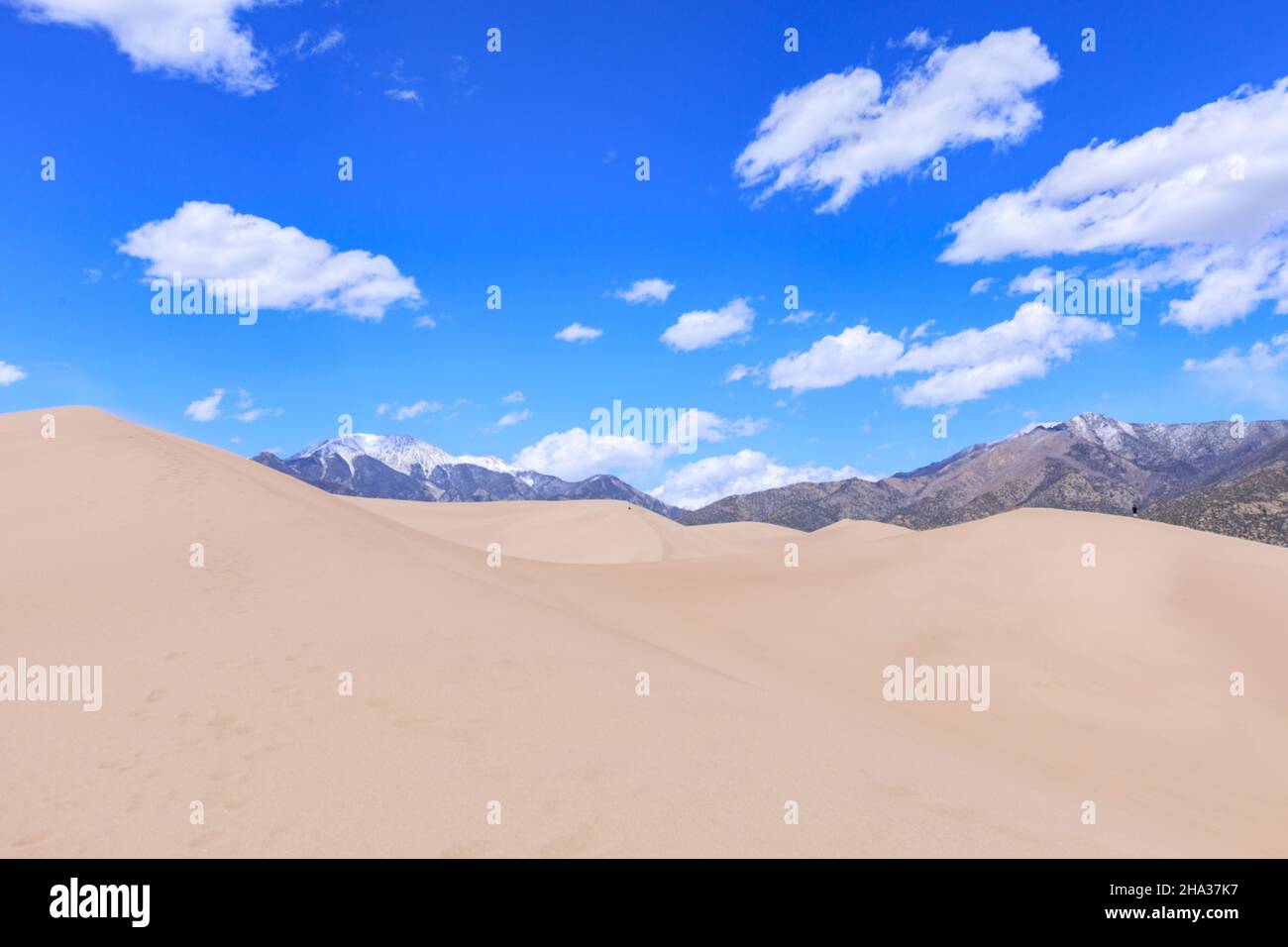 Colorado USA Great Sand Dunes National Park and Preserve: Foto Stock