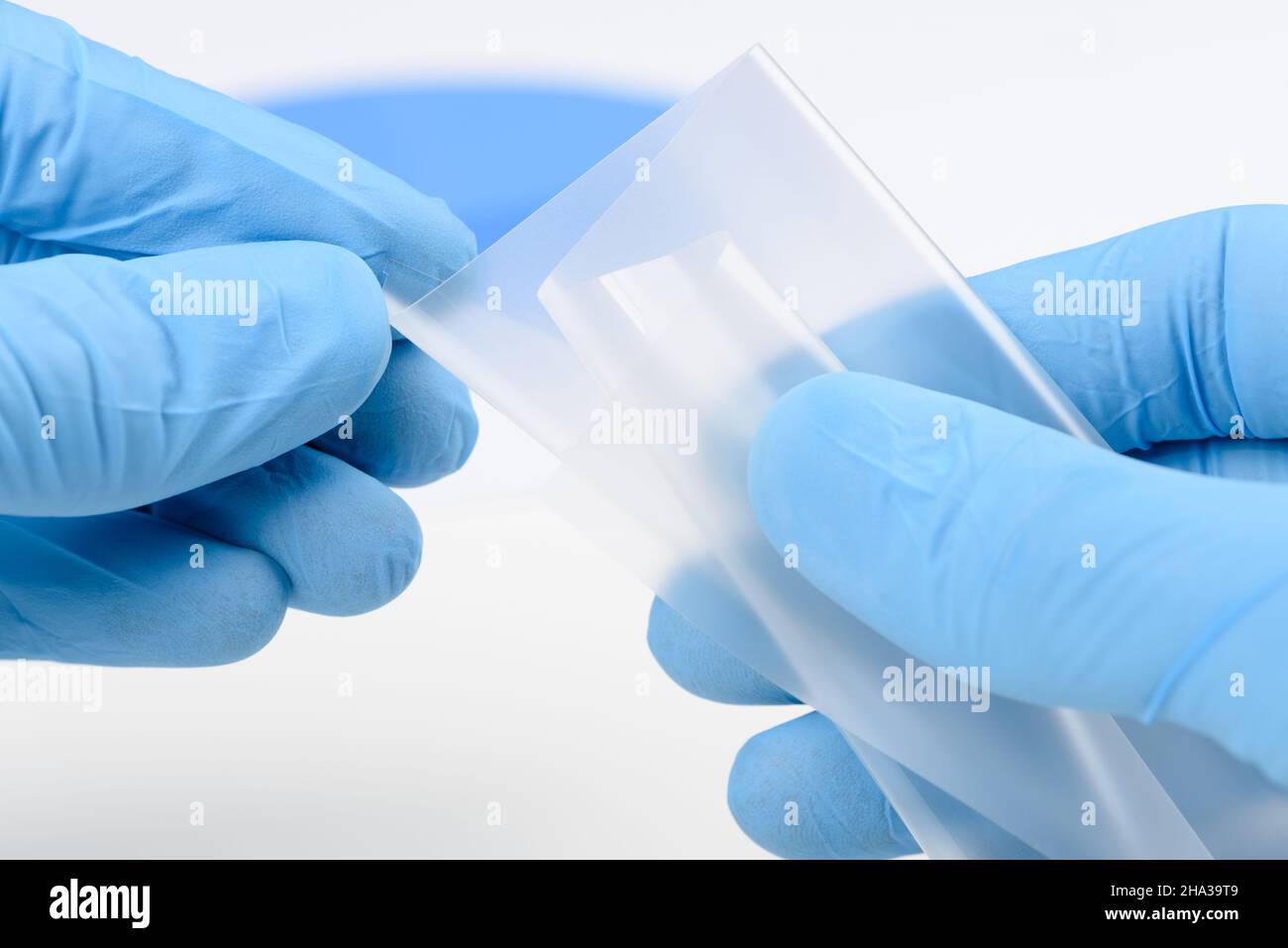 Lo scienziato mostra e piega in laboratorio materiale a film sottile trasparente flessibile. Concetto di ricerca per materiale con nuove proprietà. Foto Stock