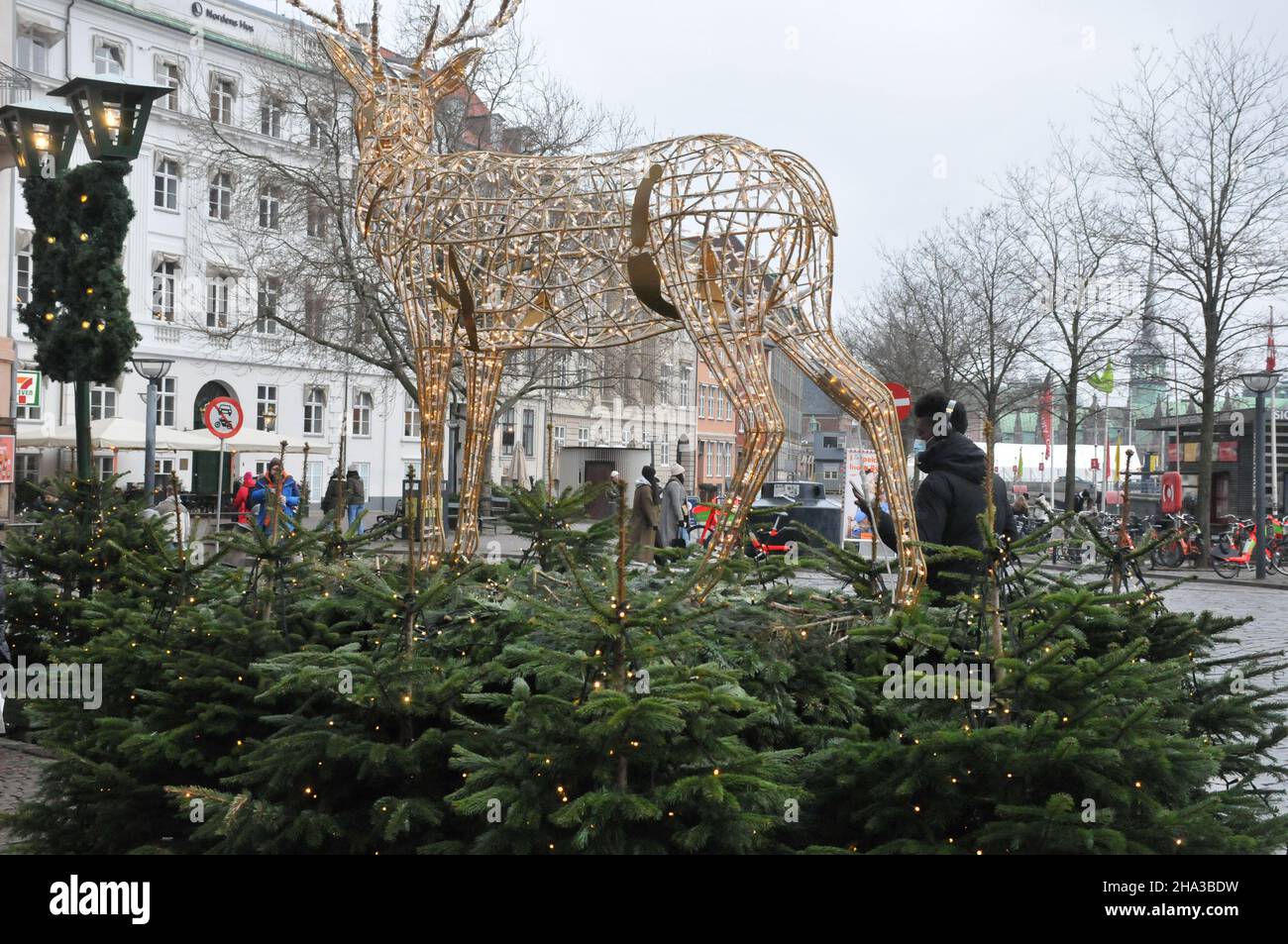 Copenaghen/Danimarca./10 Dicembre 2021/ da oggi venerdì 10 dicembre 2021 denamrk ha una nuova regola e restrizioni del codice-19 e il mercato di Natale a Copenaghen sono benvenuti senza maschere facciali e passaporto corona aperto per i visitatori sono benvenuti al mercato Hojbo plads Christms nella CAPITALE DANESE . (Foto..Francis Joseph Dean/Dean Pictures) Foto Stock