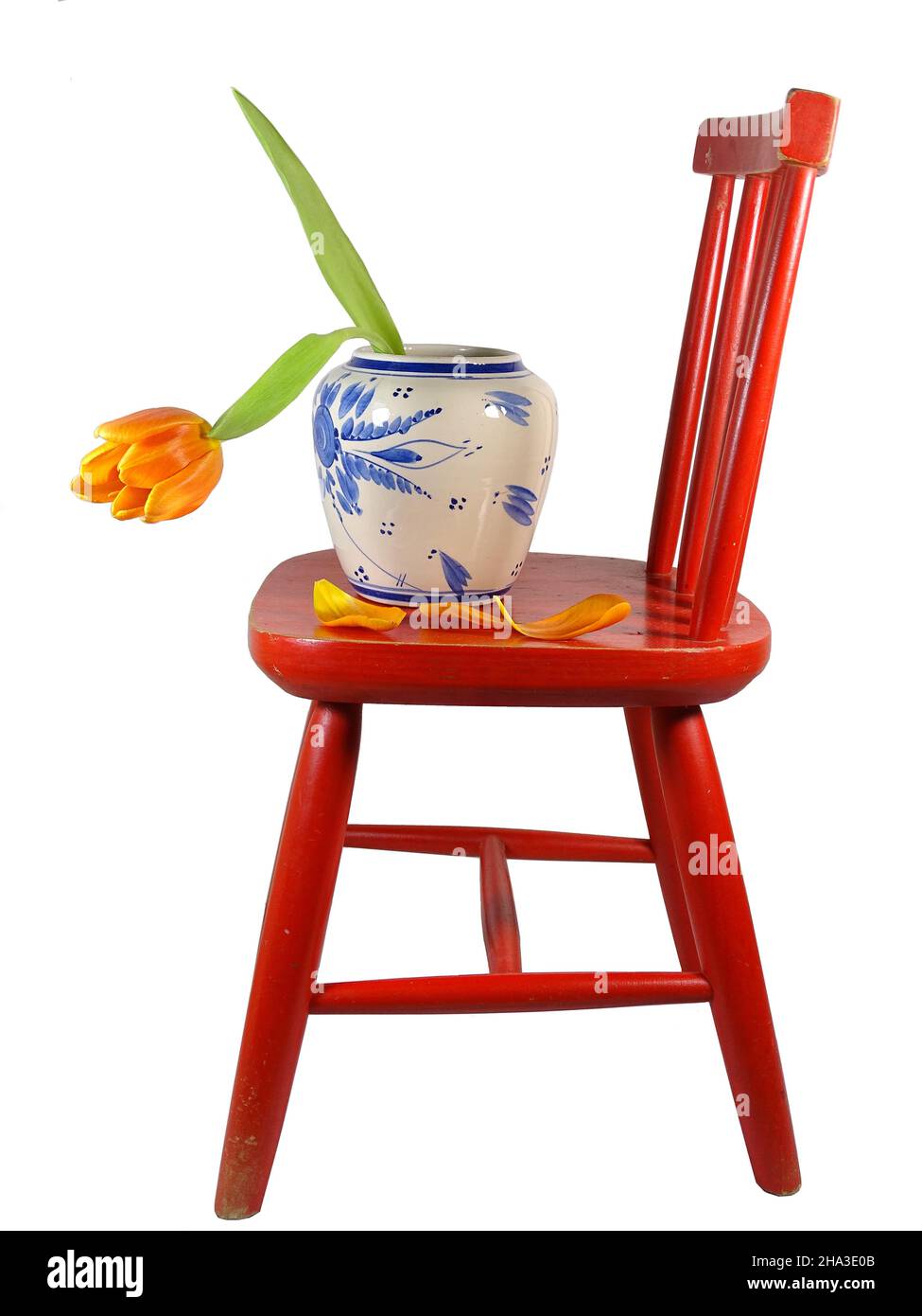 Un tulipano arancione in vaso su una sedia rossa con sfondo bianco Foto Stock