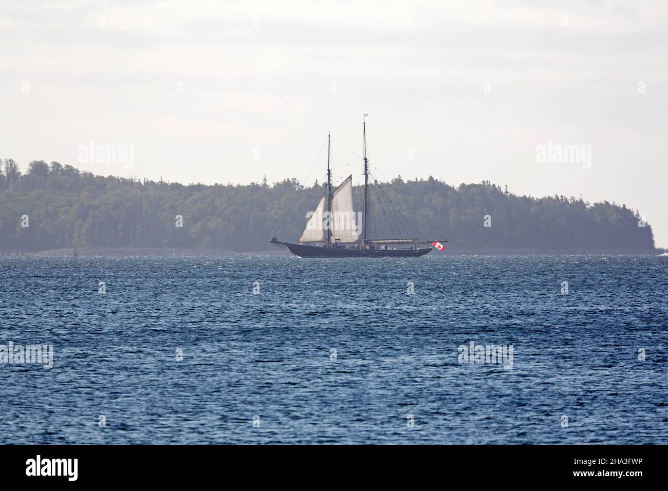 Il Bluenose II naviga nel porto di Halifax in Nuova Scozia, Canada. Foto Stock