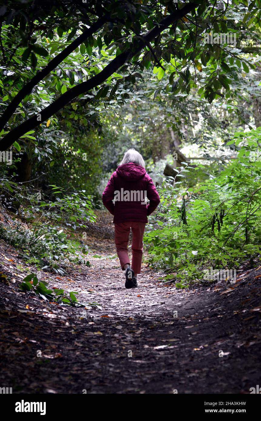 lone donne che camminano lungo la pista boschiva di campagna Foto Stock