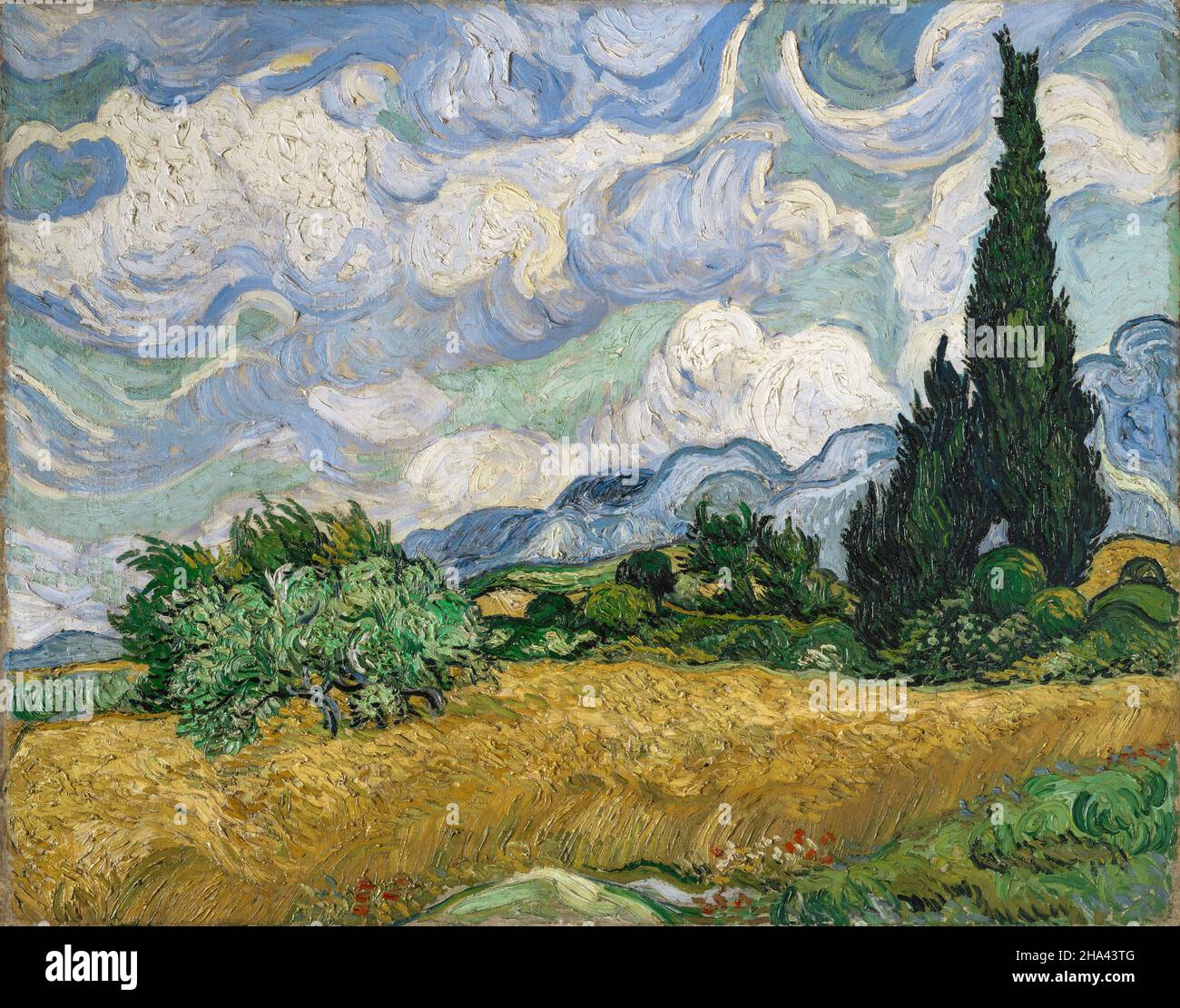 Vincent van Gogh; campo di grano con cipressi, 1889, olio su tela, Met, New York, Stati Uniti Foto Stock