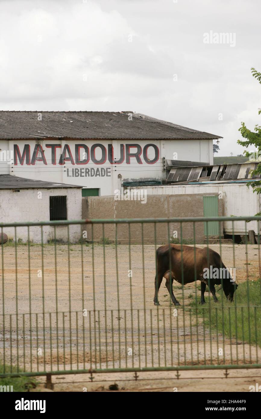 Itamaraju, bahia, brasile - 6 ottobre 2009: Vista del macello animale nella città di Itamaraju. Foto Stock