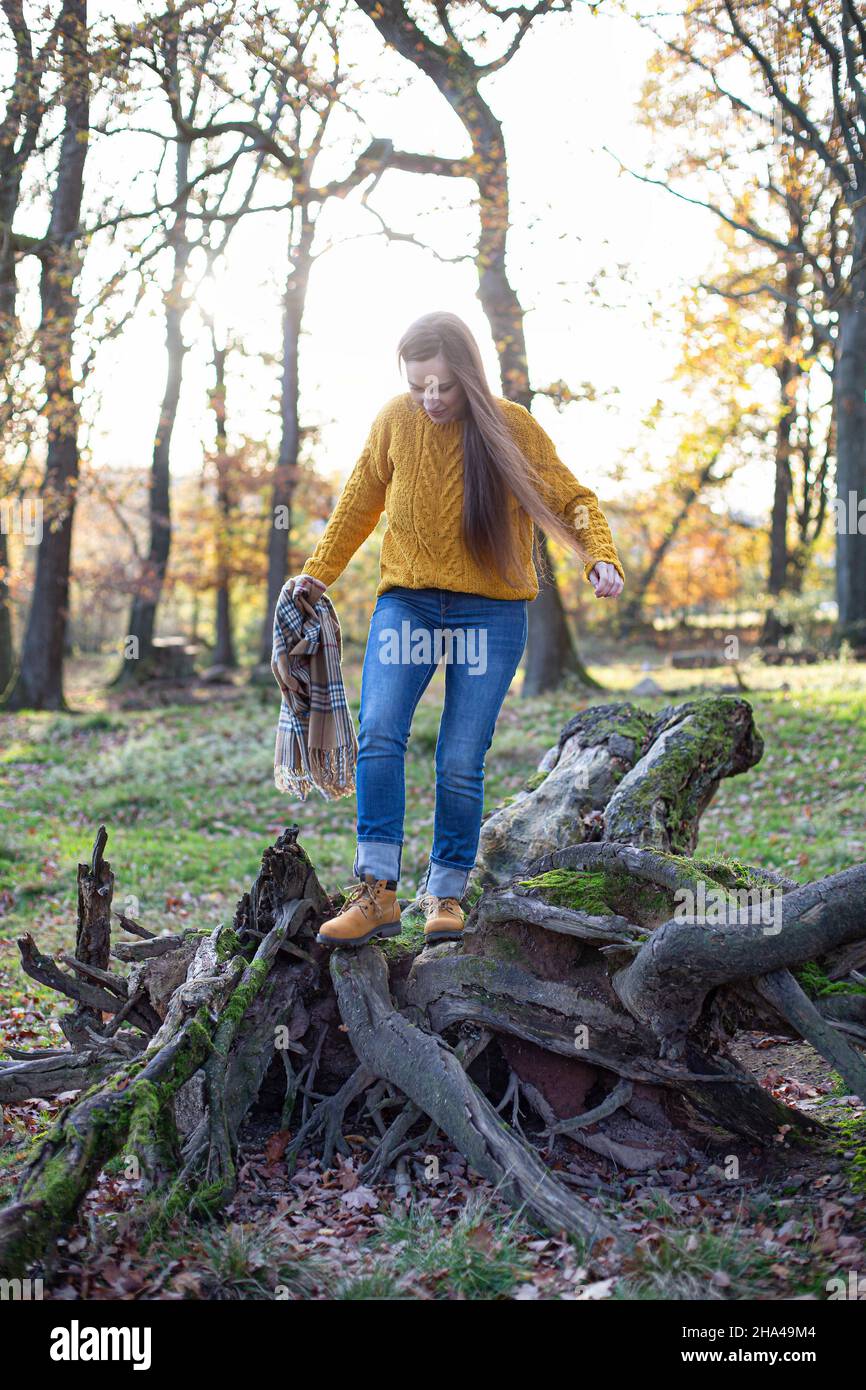 Giovane donna bianca europea in maglione giallo nella soleggiata foresta autunnale sulle radici degli alberi Foto Stock