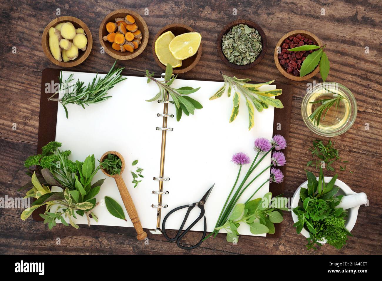 Raccolta di spezie e erbe. Cibo fresco coltivato a casa locale condimento con aperto notebook ricetta e mortaio. Erbe usate anche in medicina vegetale. Foto Stock