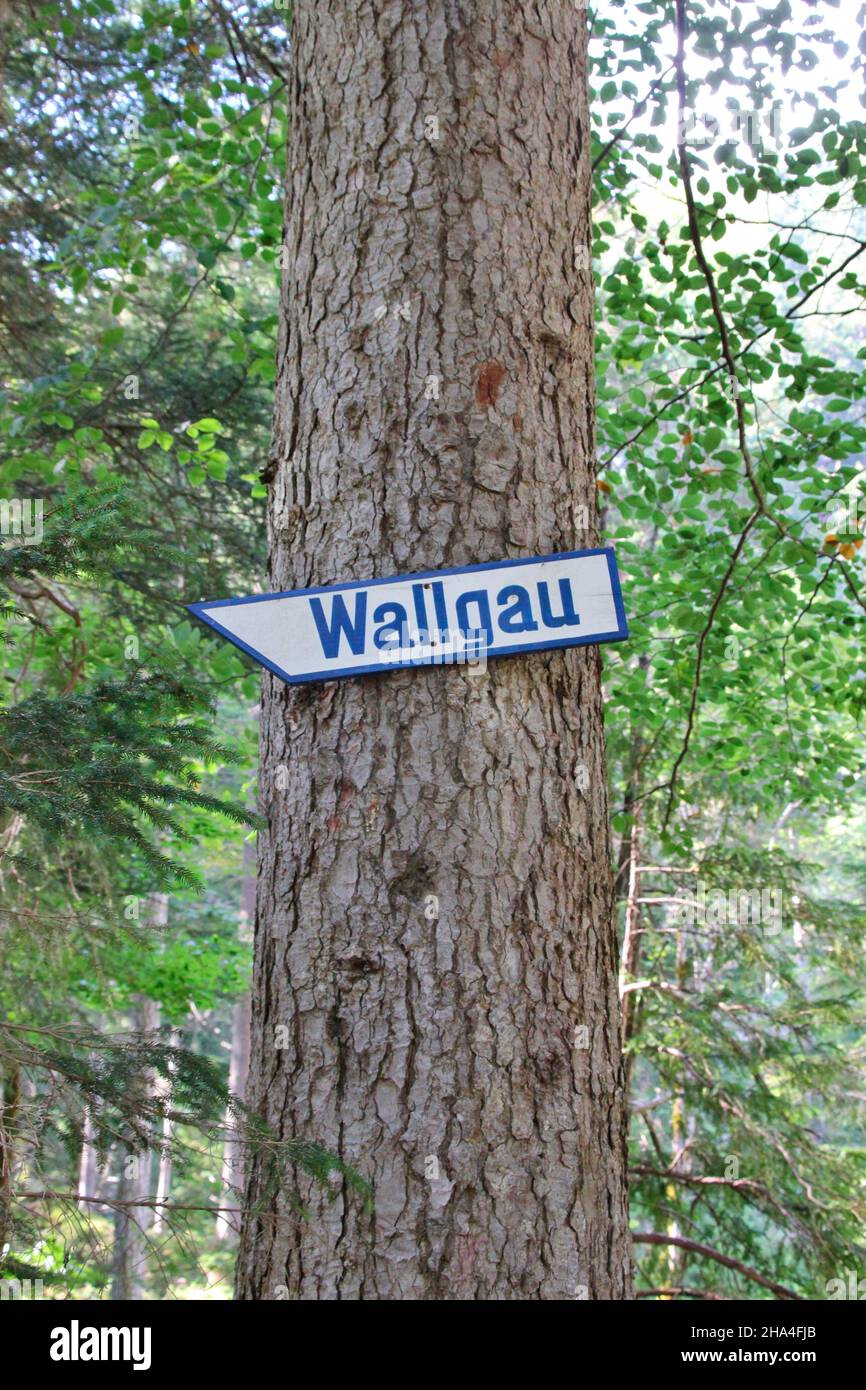 cartello wallgau tra wallgau e obernach,walchensee,germania,baviera,alta baviera,albero Foto Stock