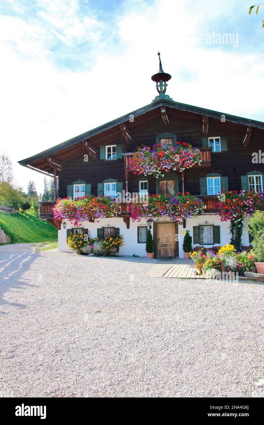 pratica bergdoktor,fattoria,austria,tirolo,montagne kaiser,ellmau wilder kaiser,natura,regione alpina,prato,regione vacanze, Foto Stock