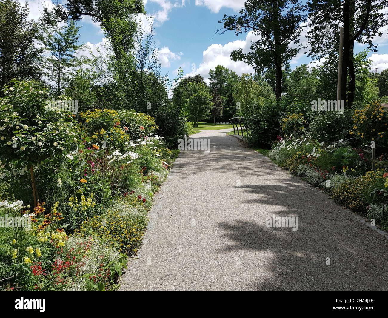 Giardino di rose, distretto di untergiesing, ci sono circa 8.500 cespugli di rose su un vasto terreno. Ci sono diversi giardini a tema: Uno spettacolo giardino con piante velenose, un touch giardino per i ciechi, letti rialzati con varie piante ed erbe da cucina, aree verdi, parco giochi Foto Stock