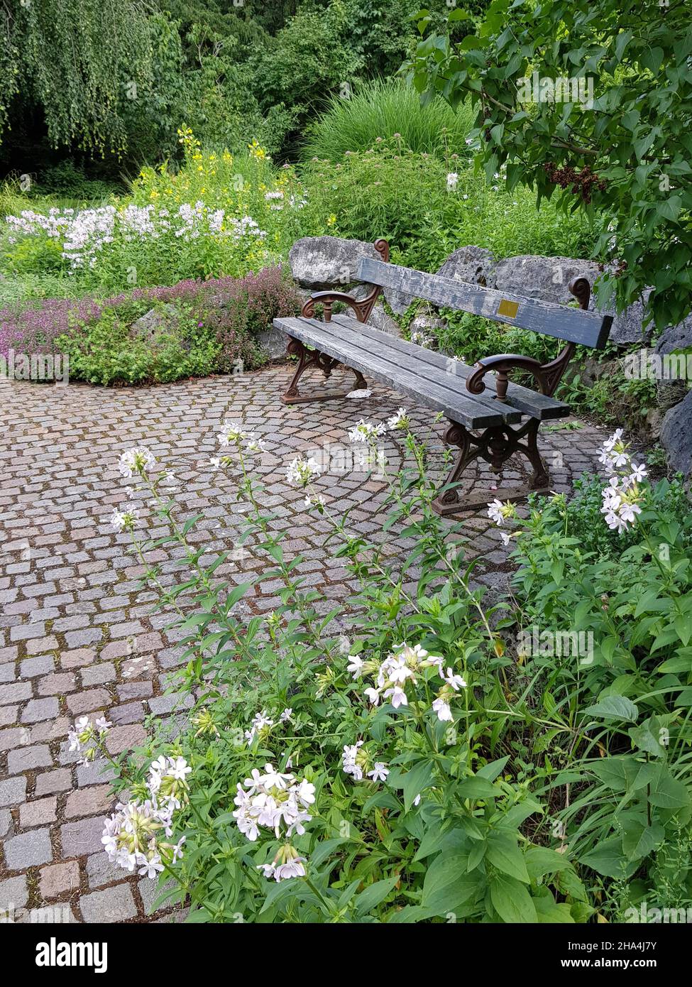 giardino di rose, quartiere untergiesing. ci sono circa 8.500 cespugli di rose su un terreno spazioso. ci sono diversi giardini a tema: uno spettacolo giardino con piante velenose, un touch giardino per i ciechi, letti rialzati con piante e erbe da cucina, panchine, aree verdi, parco giochi Foto Stock