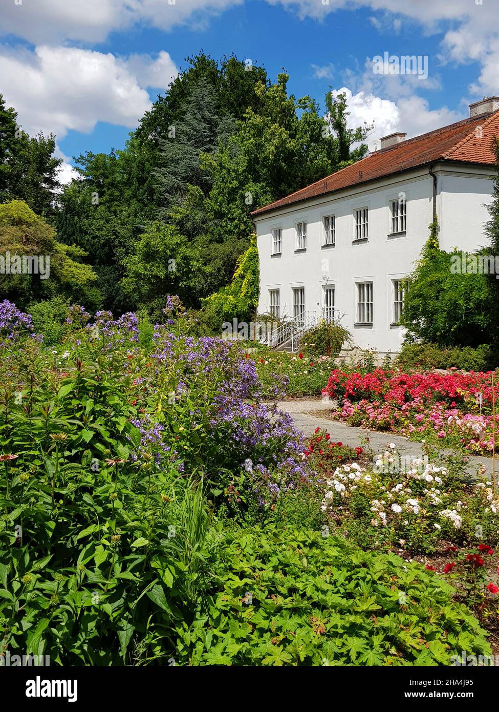 Giardino di rose, distretto di untergiesing. Ci sono circa 8.500 cespugli di rose su un terreno spazioso. Ci sono diversi giardini a tema: Uno spettacolo giardino con piante velenose, un touch giardino per i non vedenti, letti rialzati con varie piante ed erbe da cucina, aree verdi, parco giochi. Foto Stock