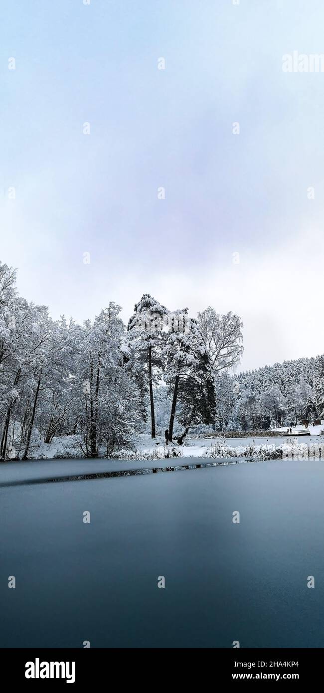Lago ghiacciato in inverno tra la foresta Foto Stock