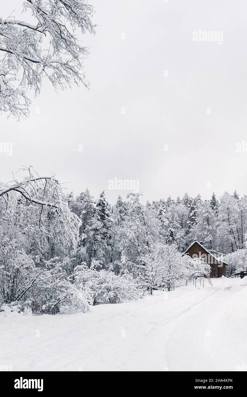 Casa di legno in una foresta innevata in inverno Foto Stock