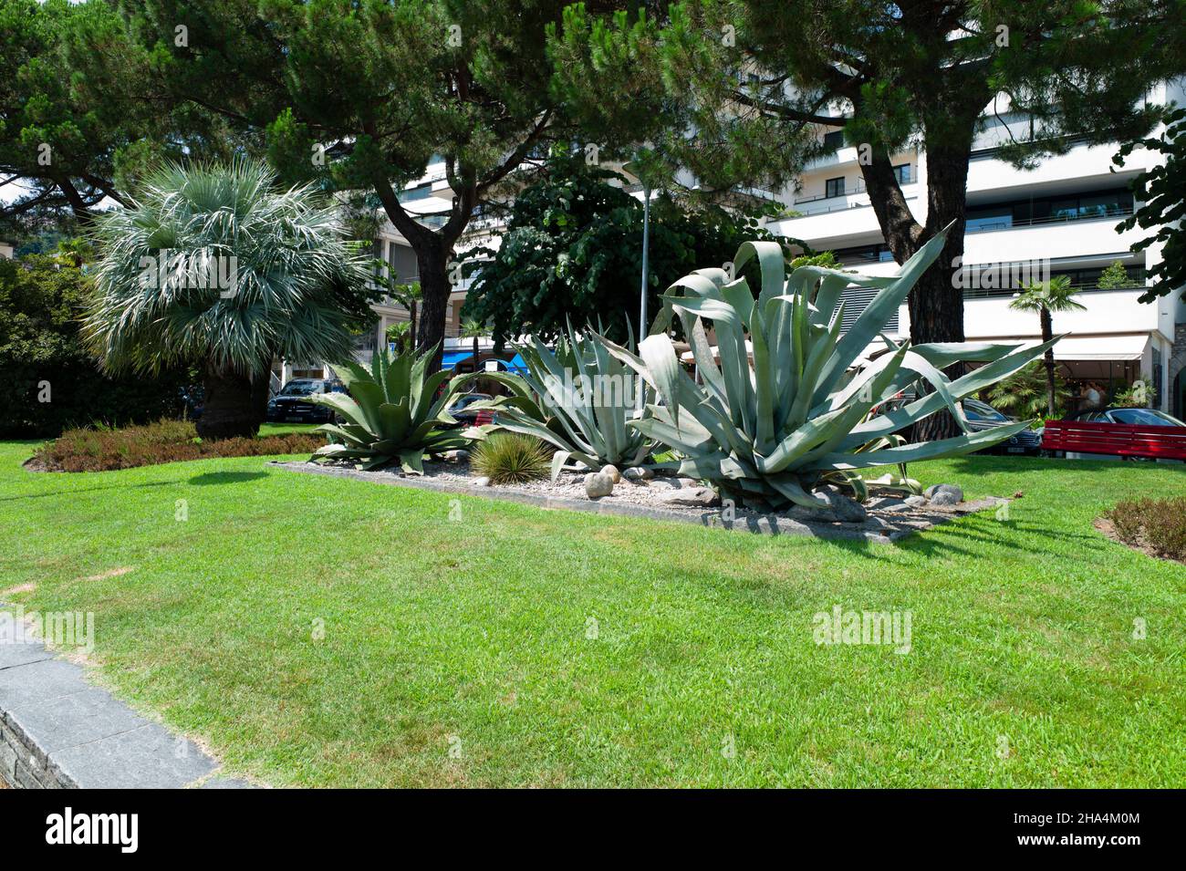 passeggiata lungo locarno sulle rive del lago maggiore locarno,canton ticino,svizzera Foto Stock