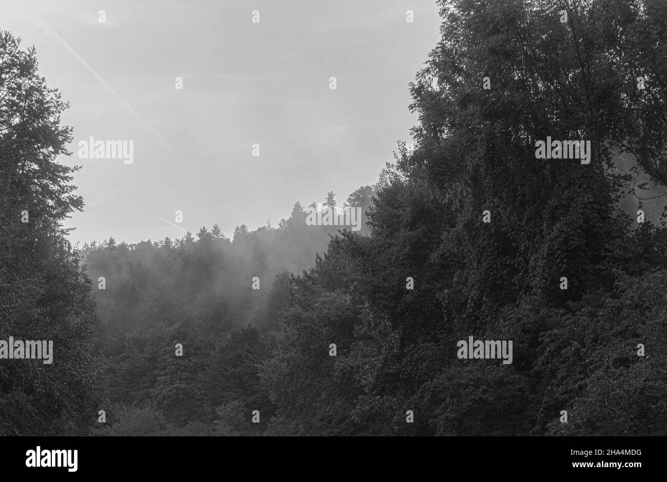 meteo piovoso a techelsberg presso il lago wörther, wörth austria Foto Stock