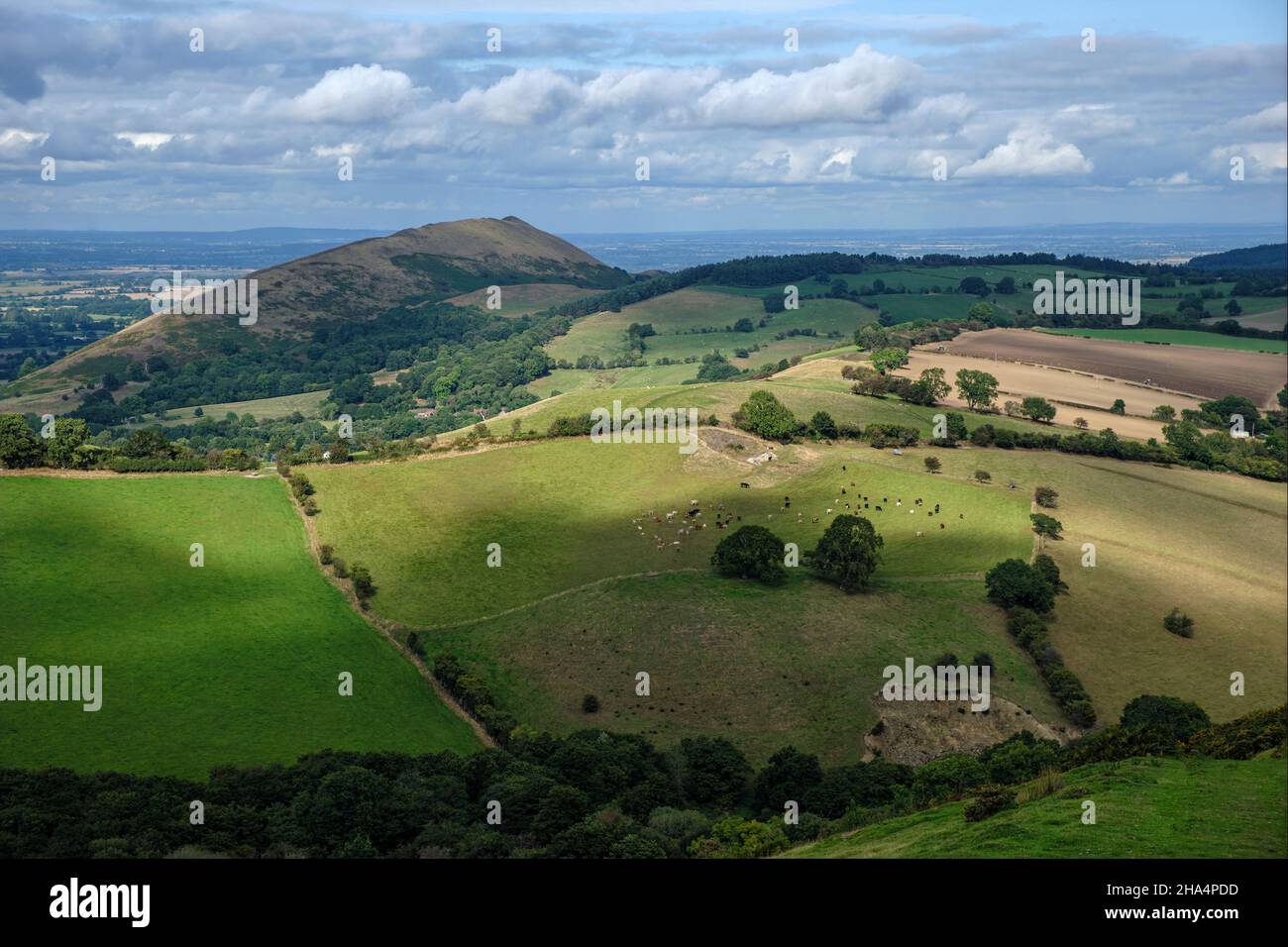 Vista verso Lawley da Willstone Hill, Shropshire Hills, vicino a Church Stretton, Shropshire Foto Stock