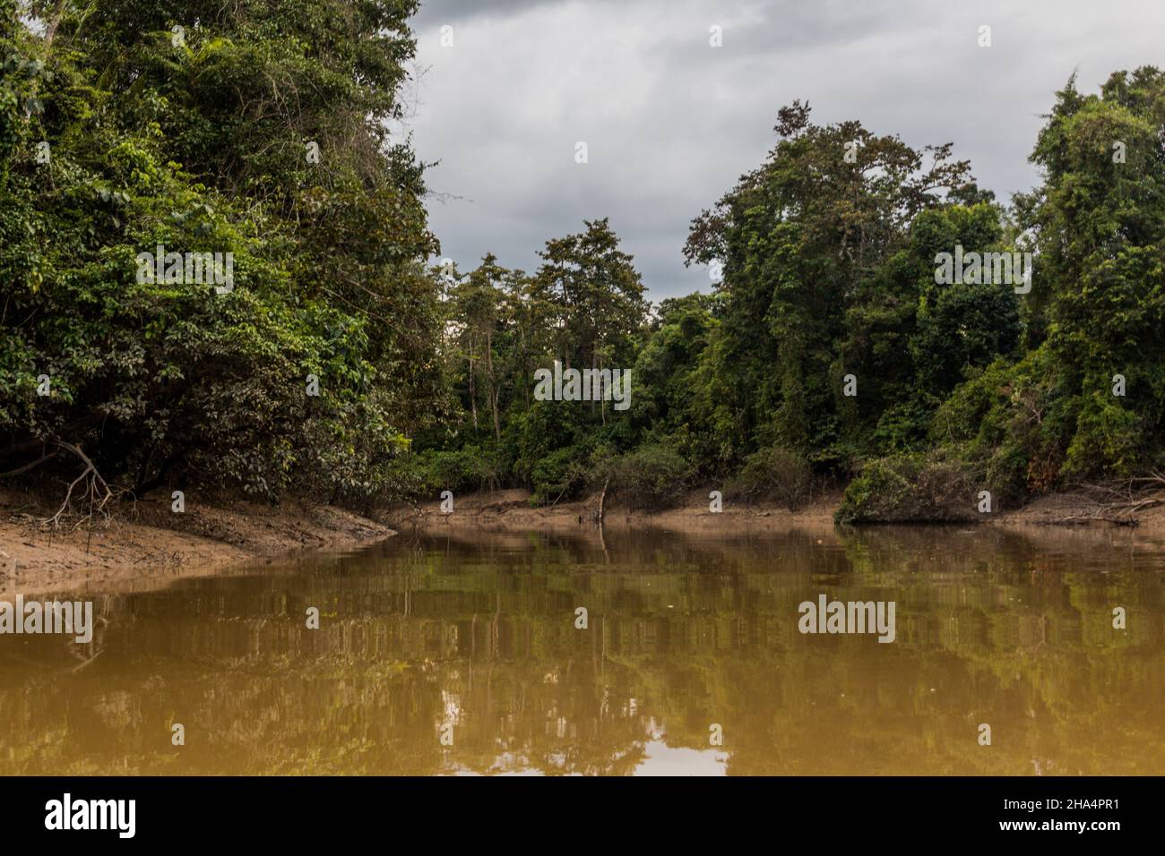 Torrente Sungai Lokan vicino al fiume Kinabatangan, Sabah, Malesia Foto Stock