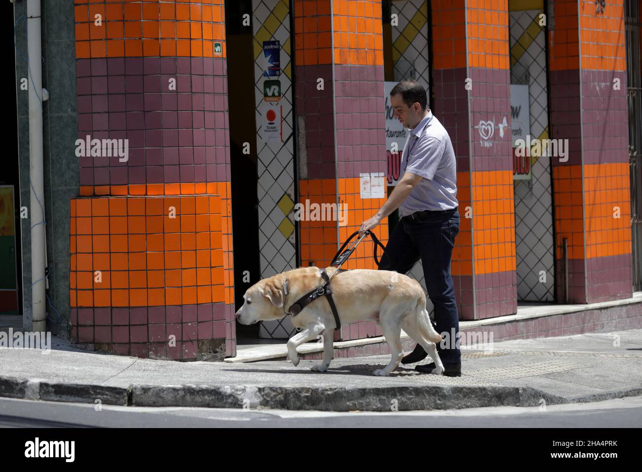 salvador, bahia, brasile - 20 marzo 2019: Ipovedenti usa un cane guida per muoversi nelle loro attività di lavoro nella città di Salvador. Foto Stock