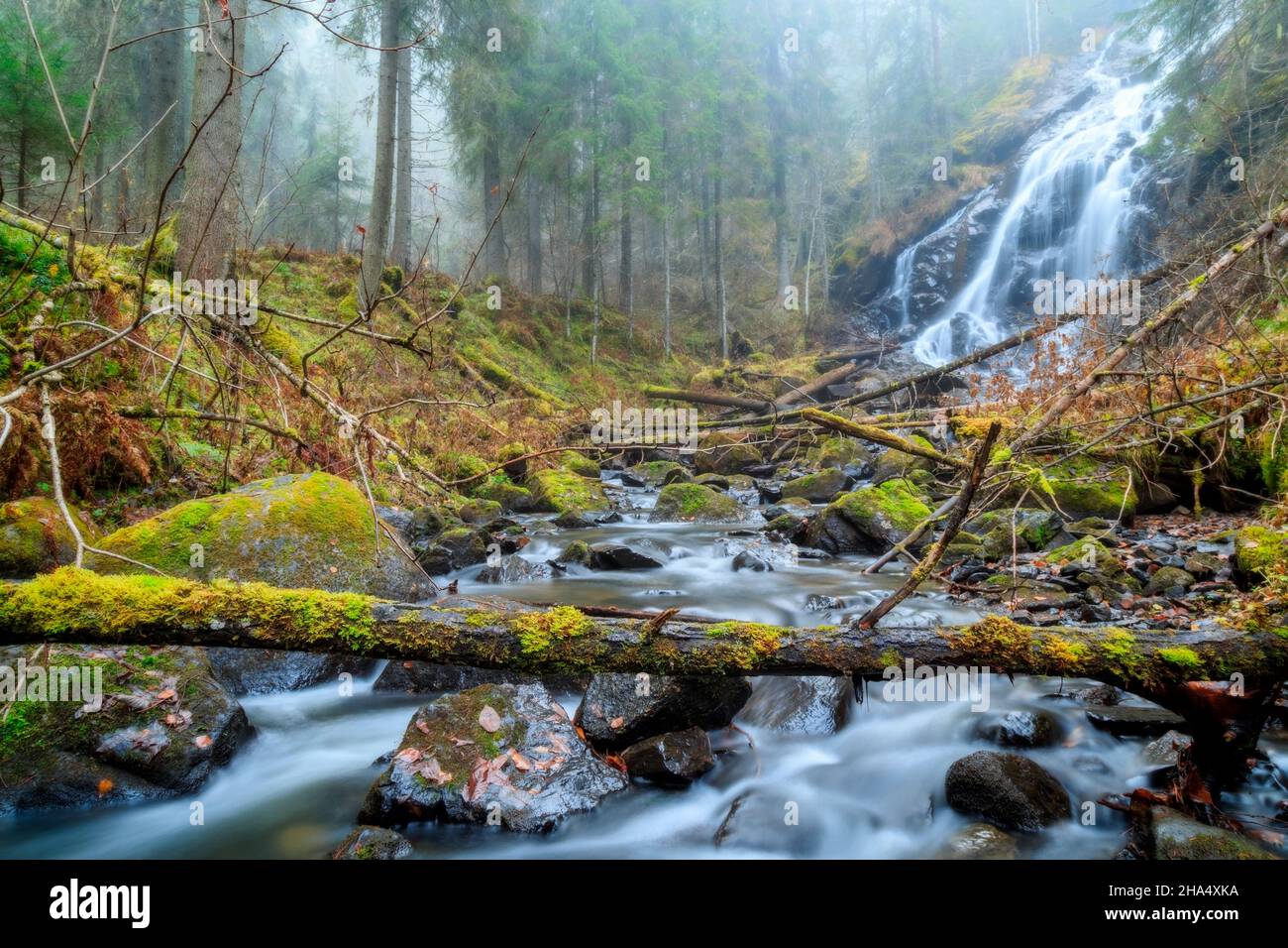 alberi cadenti con una cascata in una foresta, paesaggio autunnale Foto Stock