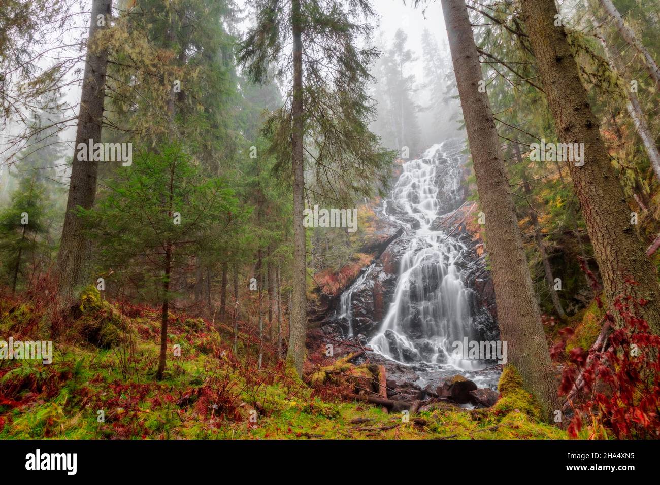 grandi alberi con una cascata in una foresta, paesaggio autunnale Foto Stock