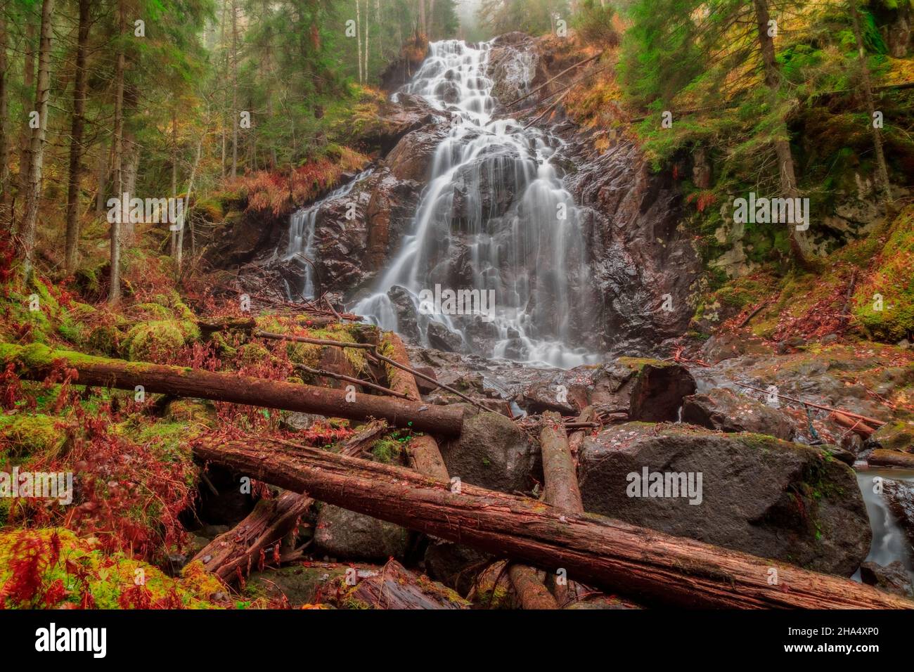 alberi cadenti con una cascata in una foresta, paesaggio autunnale Foto Stock