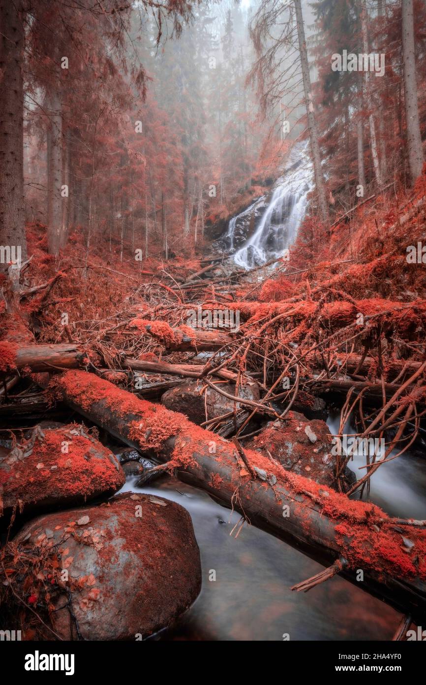 alberi cadenti con una cascata in una foresta, paesaggio autunnale in toni rossi Foto Stock