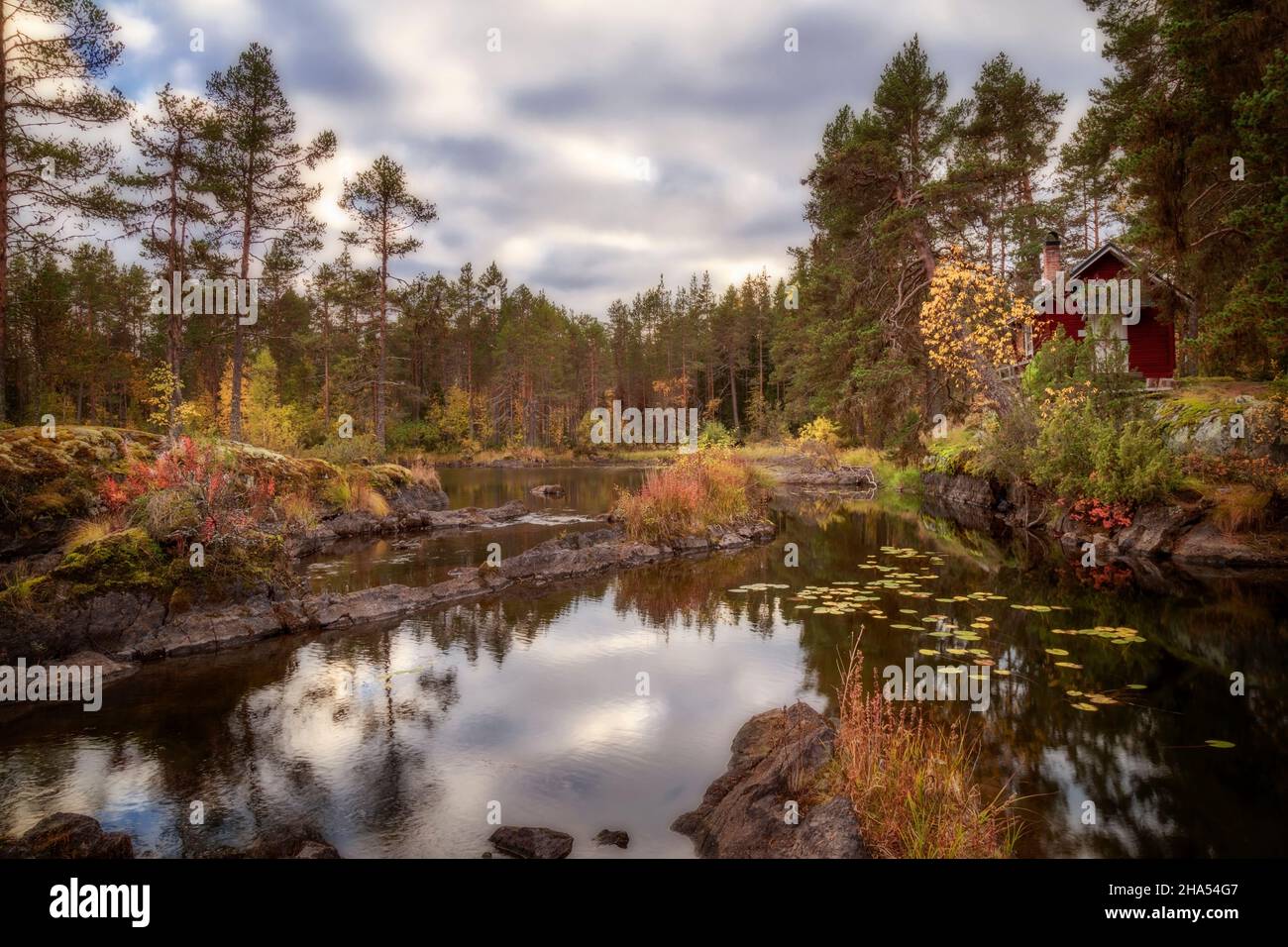 cottage, foresta, e il paesaggio del lago in svezia Foto Stock