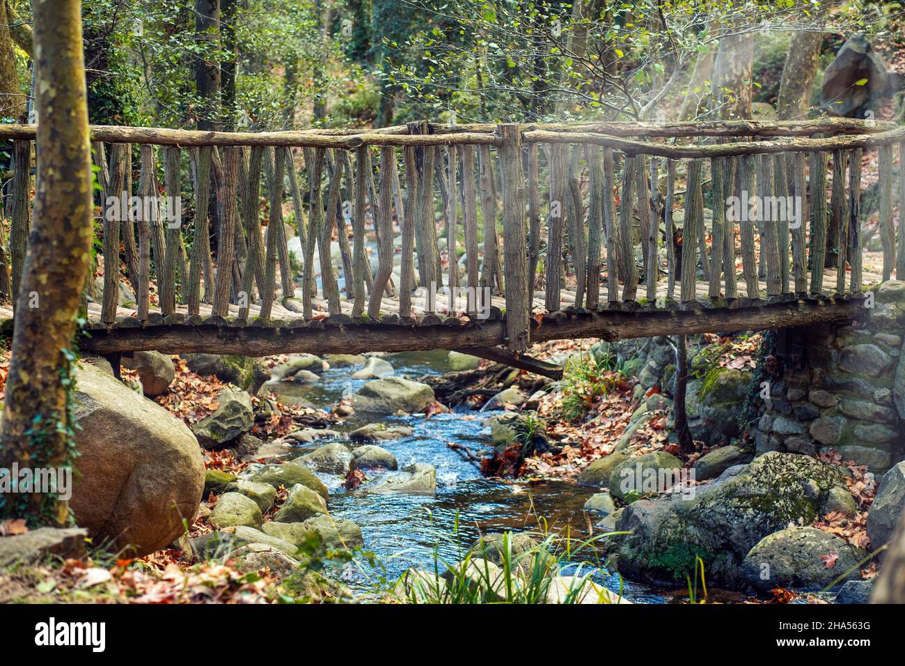 Vecchio ponte di legno su un fiume nella foresta - Gualba Parco ambientale (Parco Naturale Montseny) Spagna Foto Stock
