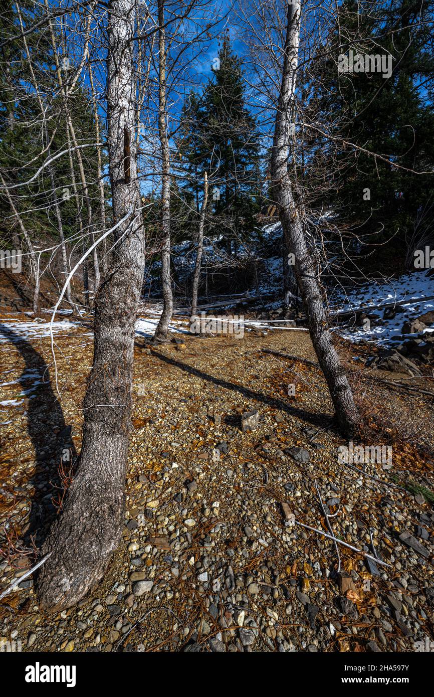 CLE Elum Lake Area nel mese di novembre, Washington state Foto Stock