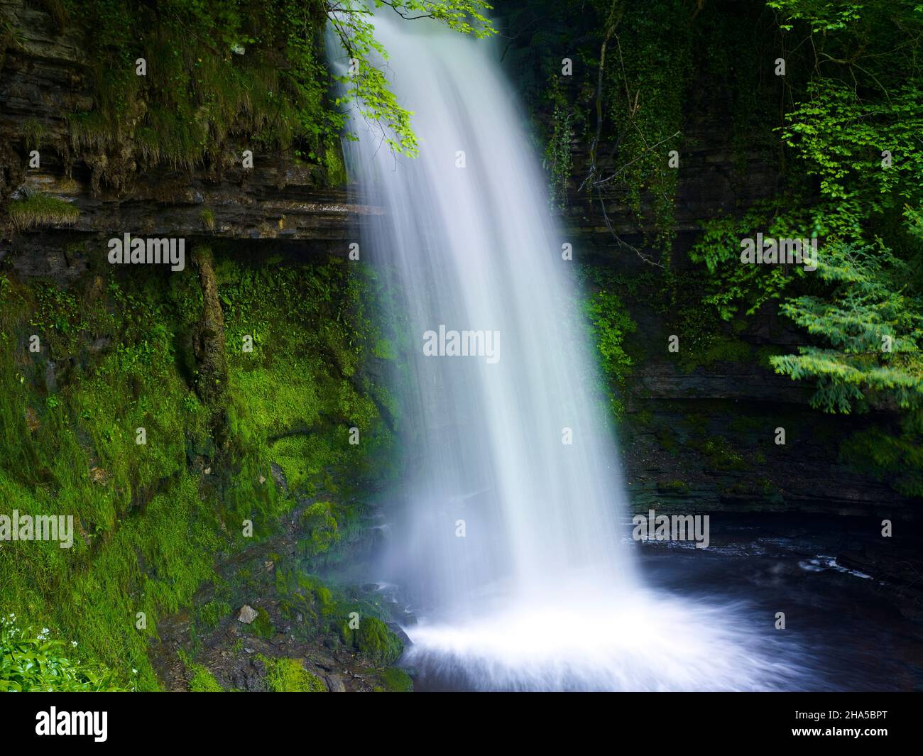 europa, repubblica d'irlanda, contea di sligo, cascata di glencar nella foresta di glencar vicino a sligo Foto Stock