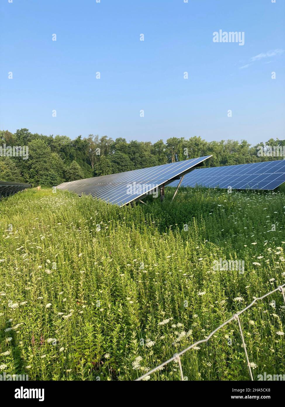 pannelli solari che generano energia elettrica,kingston,ny state,usa Foto Stock